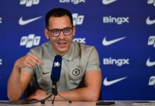 صورة نبحث عن تعزيز كل الخطوط، وهذه حالة بالمر