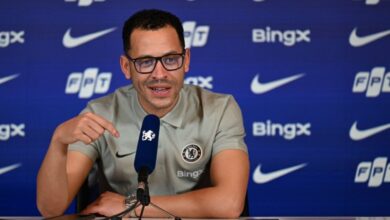 صورة نبحث عن تعزيز كل الخطوط، وهذه حالة بالمر