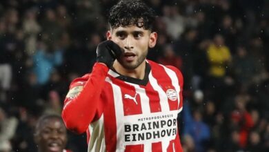 صورة آيندهوفن يُغلق الباب أمام عرض البريميرليج ويتمسّك بريكاردو بيبي