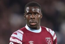 صورة الاتحاد الصيني يرفض تعاقد شاندونغ مع زوما بسبب إساءة معاملة الحيوانات